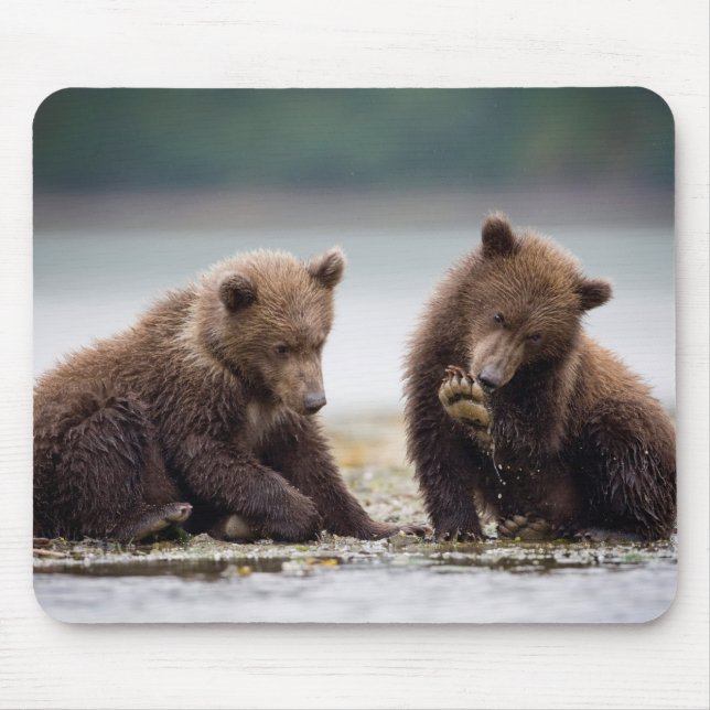 Braunbärenjunge am Bach Mousepad (Vorne)