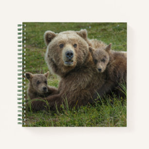 Braunbärenjunge kuscheln mit ihrer Mutter Notizbuch