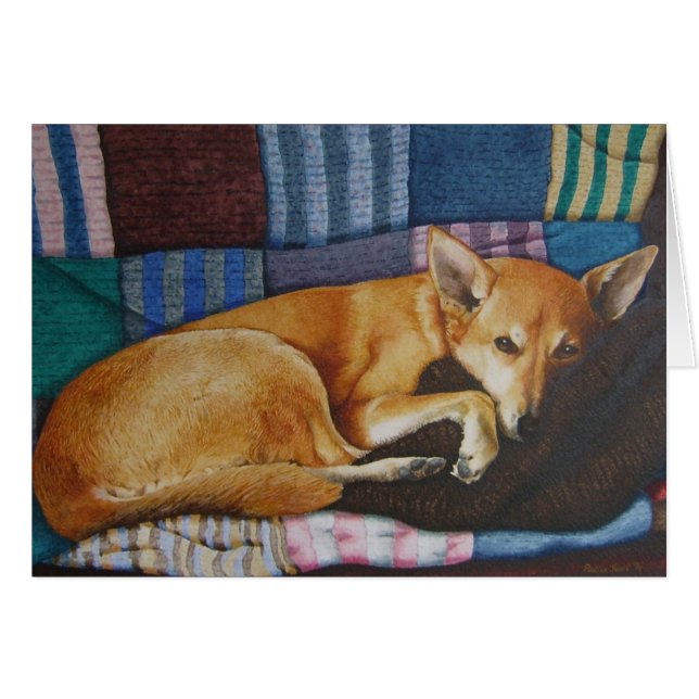 Braunbräuner Labrador (Vorderseite (Horizontal))