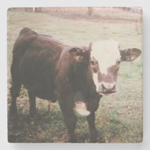 Brauncreme Steinuntersetzer