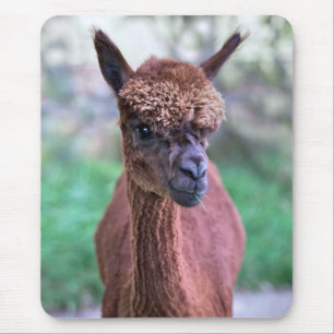 Braune Alpaka-Mausunterlage Mousepad