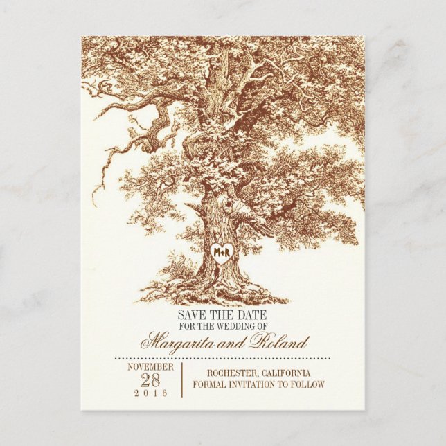 braune alte Eiche Save-the-Date Postkarten (Vorderseite)