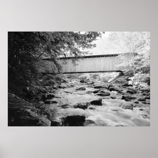 Braune Brücke Poster (Vorne)