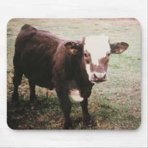 Braune Cream-Kuh Arkansas Mousepad