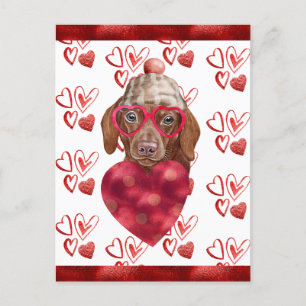 Braune Dachshund-Herzen Hunde Liebhaber Valentinsg Feiertagspostkarte
