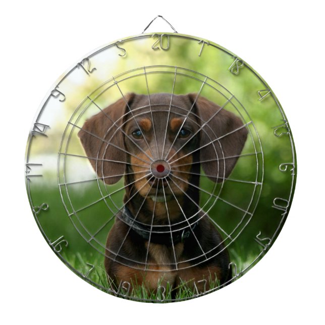 Braune Dackel Welpe Dartscheibe (vorne)