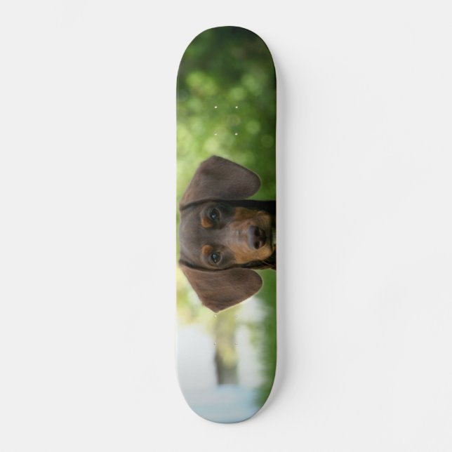 Braune Dackel Welpe Skateboard (Vorderseite)