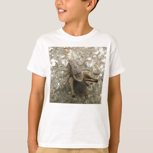 Braune Feldgrille Kinder T Shirt (Vorderseite)