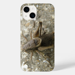 Braune Feldkrille Case-Mate iPhone Hülle