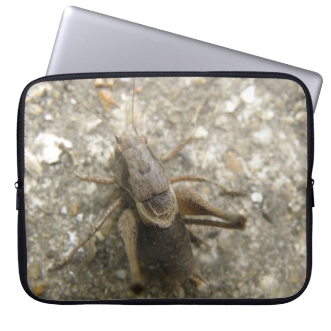 Braune Field-Cricket-Notebook-Tasche Laptopschutzhülle (Vorderseite)