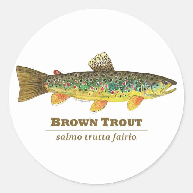 Braune Forellen-Ichthyologie Runder Aufkleber (Vorderseite)