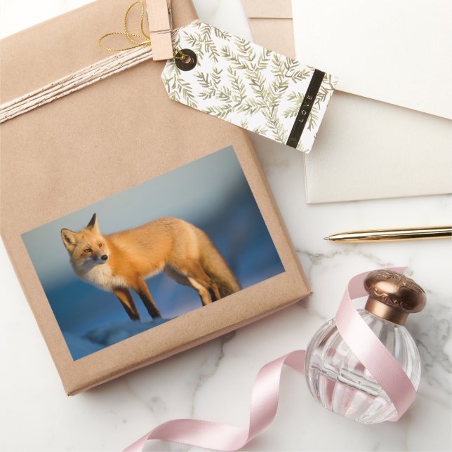 Braune Fox Rechteckkleber Rechteckiger Aufkleber (Schenken)