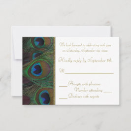 Braune, Gold Peacock Feathers RSVP Card Karte