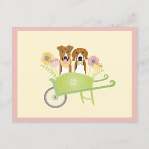 Braune Hunde in Schubkarren Frühlingsblumen Postkarte