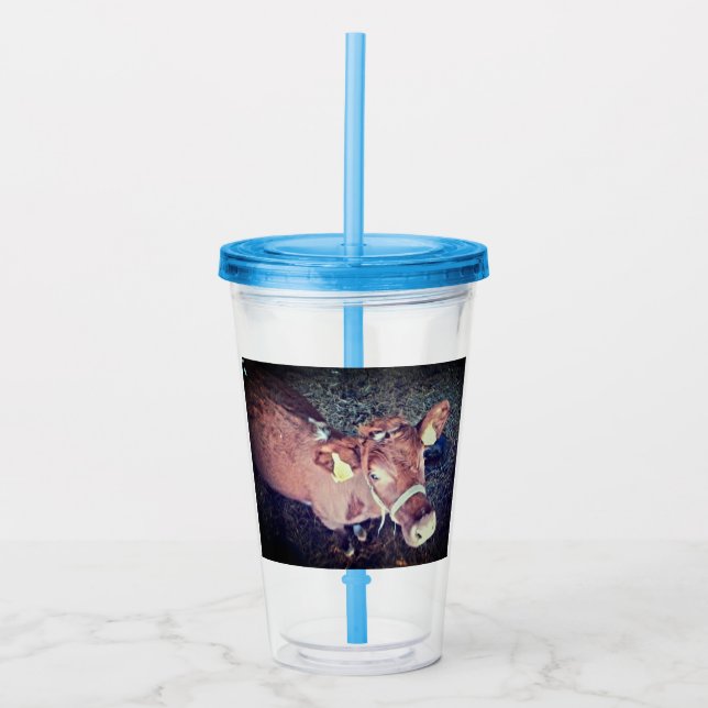 Braune Kuh Acryltrinkbecher (Vorderseite)