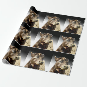 Braune Kuh Munching auf Hay, Geschenkpapier