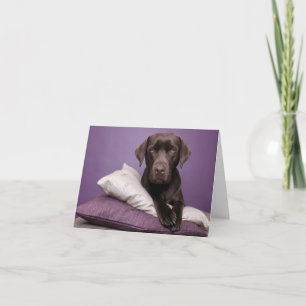 Braune Labrador Retriever Welpen-Hund Leere Notizk Karte