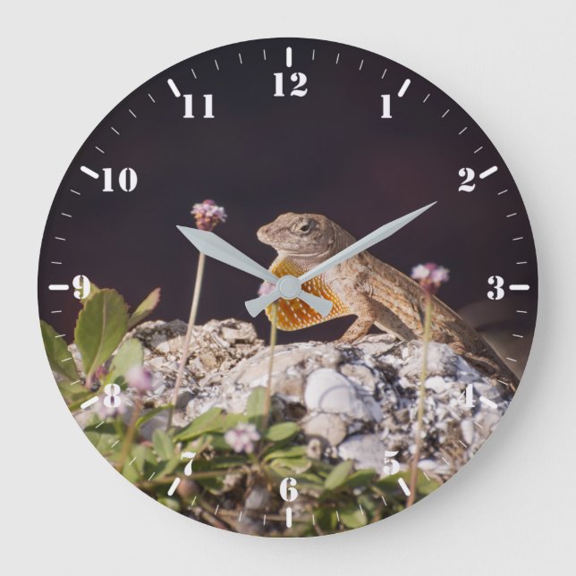 Braune Nase mit Trübung Große Wanduhr (Vorderseite)