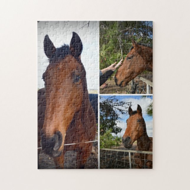 braune Pferde in einer FotoCollage, Puzzle (Vertikal)