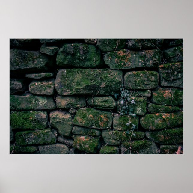 Braune Reben auf gestapelten Steinblöcken Poster (Vorne)