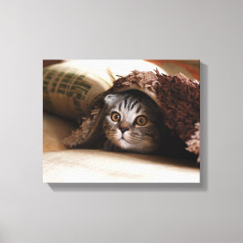 Braune Schottische Katzenfalte in brauner Decke Leinwanddruck