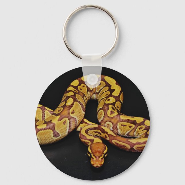 Braune und goldene Ball Python Schlüsselanhänger (Vorderseite)