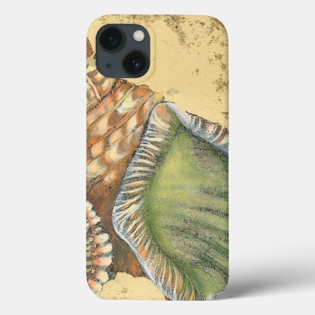 Braune und grüne Seashell Case-Mate iPhone Hülle (Rückseite)