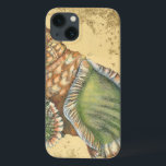 Braune und grüne Seashell Case-Mate iPhone Hülle<br><div class="desc">Wenn Sie heute nicht an den Strand kommen, sollten Sie sich dieses klassische Bild dieses einzigartigen, grünen und braunen Muschels von heute besorgen! Dieser Muschel am Ozean ist von warmem Sand in diesem Bild umrahmt und würde bei allen nautischen Produkten großartig sein.</div>