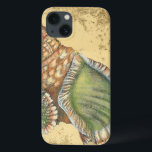 Braune und grüne Seashell Case-Mate iPhone Hülle<br><div class="desc">Wenn Sie heute nicht an den Strand kommen,  sollten Sie sich dieses klassische Bild dieses einzigartigen,  grünen und braunen Muschels von heute besorgen! Dieser Muschel am Ozean ist von warmem Sand in diesem Bild umrahmt und würde bei allen nautischen Produkten großartig sein.</div>