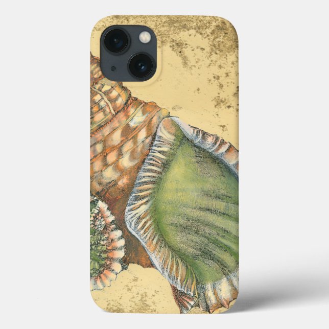 Braune und grüne Seashell Case-Mate iPhone Hülle (Rückseite)