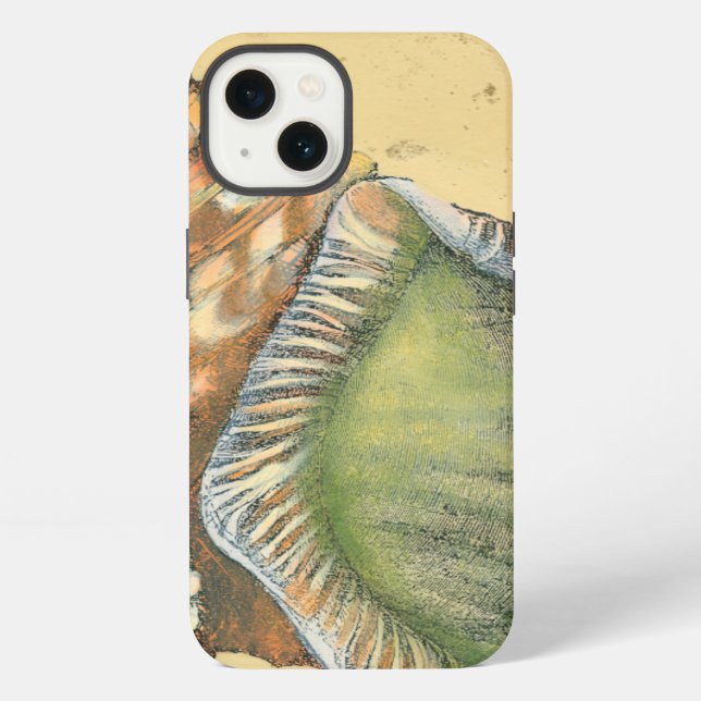 Braune und grüne Seashell iPhone Hülle (Rückseite)