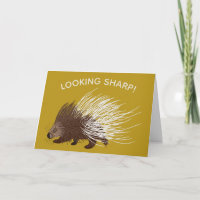 Braune und Senf Porcupine zum Geburtstag