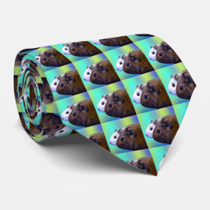 Braune und weiße Guinea Schweine, Nackenbinden Krawatte