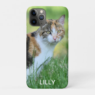 Braune und weiße Katze Case-Mate iPhone Hülle