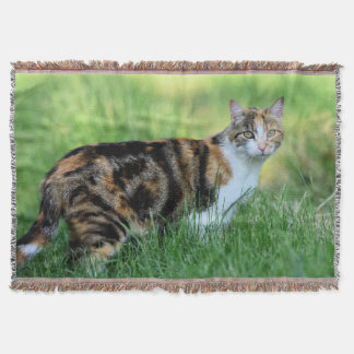 Braune und weiße Katze Decke