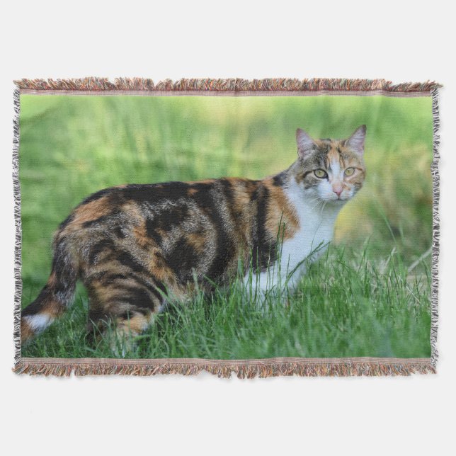 Braune und weiße Katze Decke (Vorderseite)