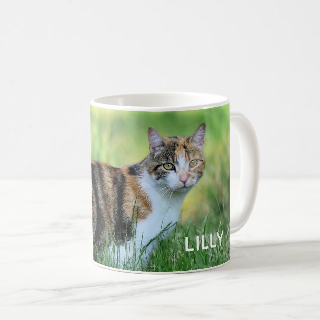 Braune und weiße Katze Kaffeetasse (VorderseiteRechts)