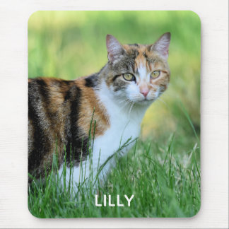 Braune und weiße Katze Mousepad