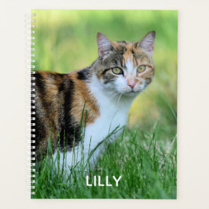 Braune und weiße Katze Planer