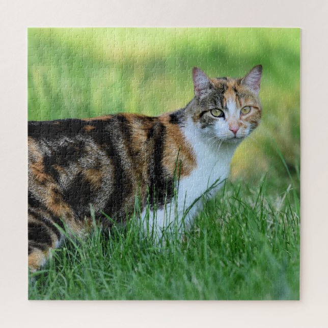Braune und weiße Katze Puzzle (Vertikal)