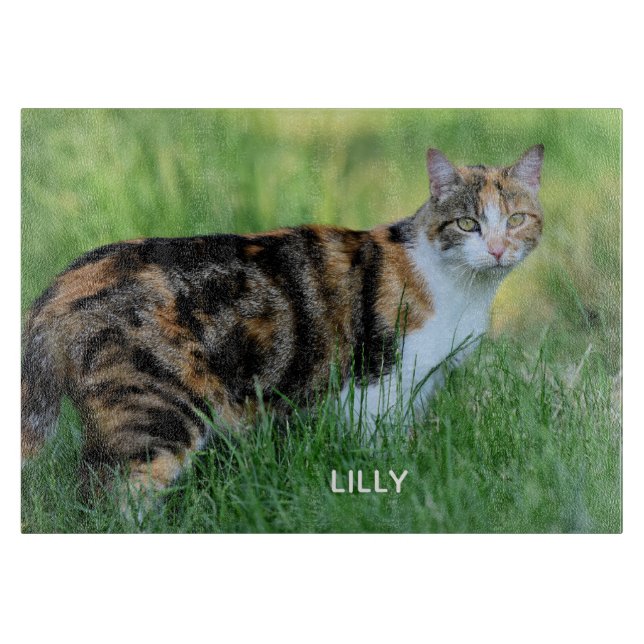 Braune und weiße Katze Schneidebrett (Vorderseite)