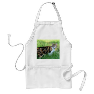 Braune und weiße Katze Schürze