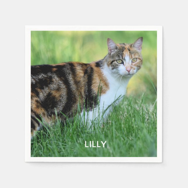 Braune und weiße Katze Serviette (Vorderseite)