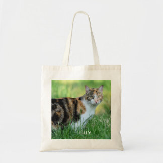 Braune und weiße Katze Tragetasche