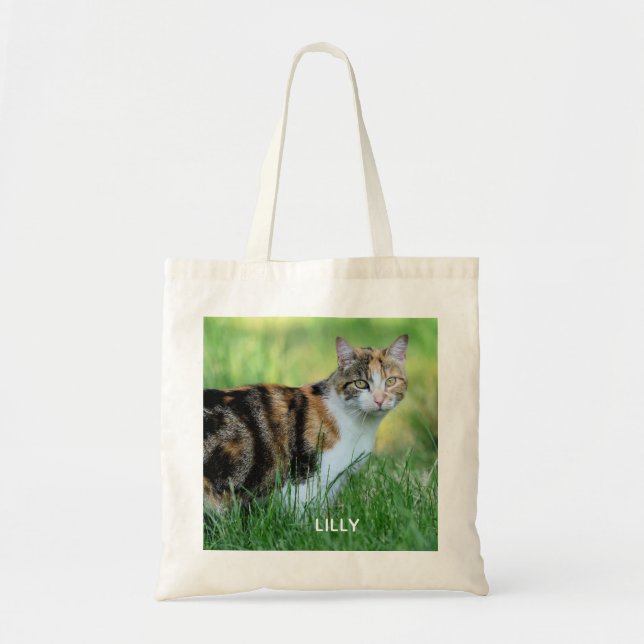 Braune und weiße Katze Tragetasche (Vorne)