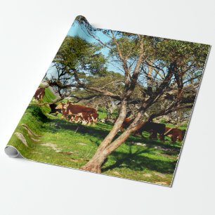 braune und weiße Kühe im Sortiment, Geschenkpapier