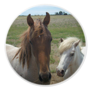 braune und weiße Ponys, Keramikknauf