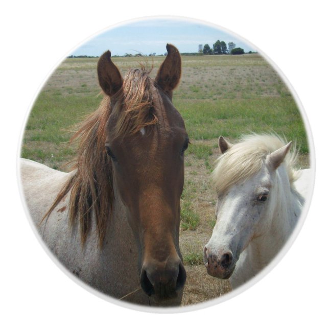 braune und weiße Ponys, Keramikknauf (Vorderseite)