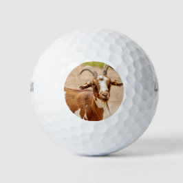 Braune und weiße Ziege Golfball