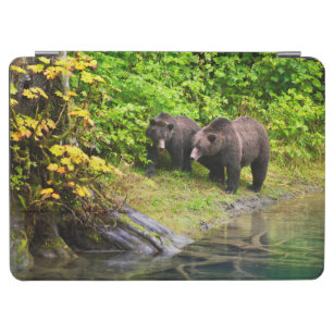Brauner Bär & Cub   Hyder, Alaska iPad Air Hülle